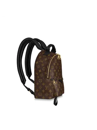 Louis Vuitton Çanta Palm Springs Kahverengi