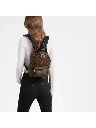 Louis Vuitton Çanta Palm Springs Kahverengi