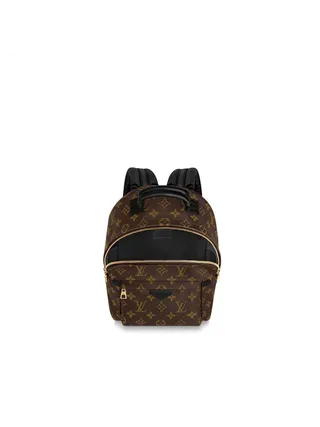 Louis Vuitton Çanta Palm Springs Kahverengi