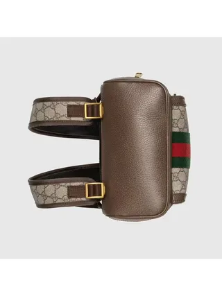 Gucci Çanta Ophidia GG Small Kahverengi