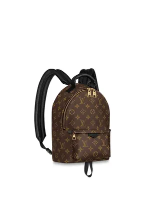 Louis Vuitton Çanta Palm Springs Kahverengi